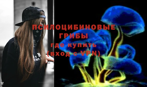 Альфа ПВП Абаза