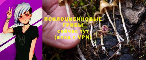 Альфа ПВП Абаза